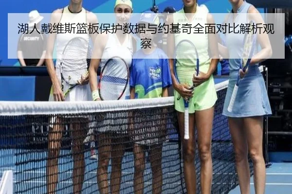 湖人戴维斯篮板保护数据与约基奇全面对比解析观察